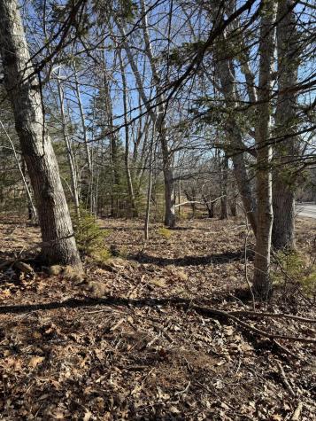 # State Highway 3, Town Hill Bar Harbor ME 04609