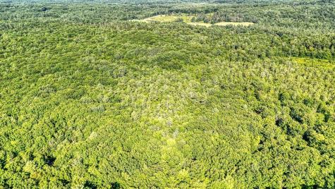 Lot 29 N Grey Road Greene ME 04236