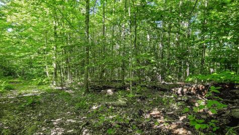 Lot 29 N Grey Road Greene ME 04236