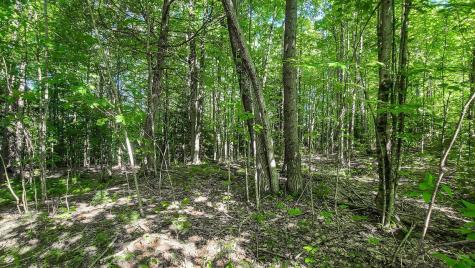 Lot 29 N Grey Road Greene ME 04236