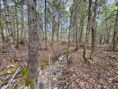 M1L58.3 Pickerel Pond Road Greenfield Twp ME 04418