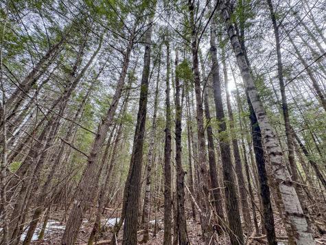 M1L58.3 Pickerel Pond Road Greenfield Twp ME 04418