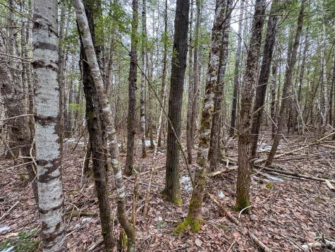 M1L58.3 Pickerel Pond Road Greenfield Twp ME 04418