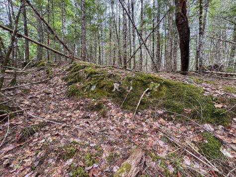 M1L58.3 Pickerel Pond Road Greenfield Twp ME 04418