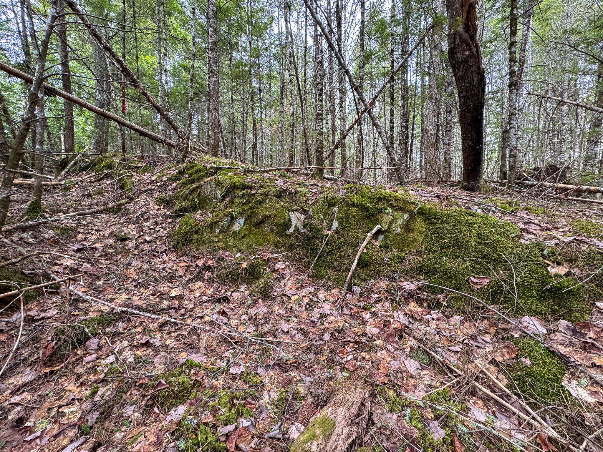M1L58.3 Pickerel Pond Road Greenfield Twp ME 04418