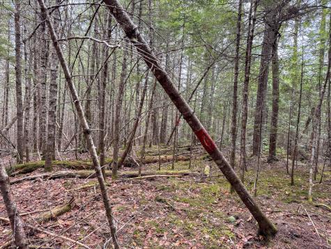 M1L58.3 Pickerel Pond Road Greenfield Twp ME 04418