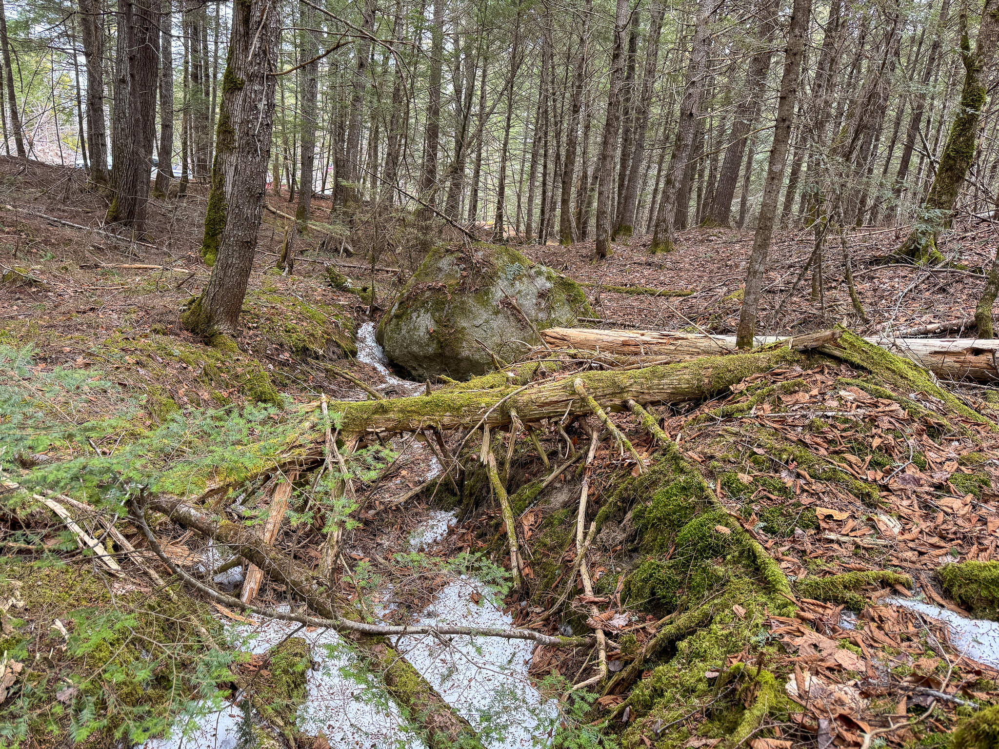 M1L58.3 Pickerel Pond Road Greenfield Twp ME 04418