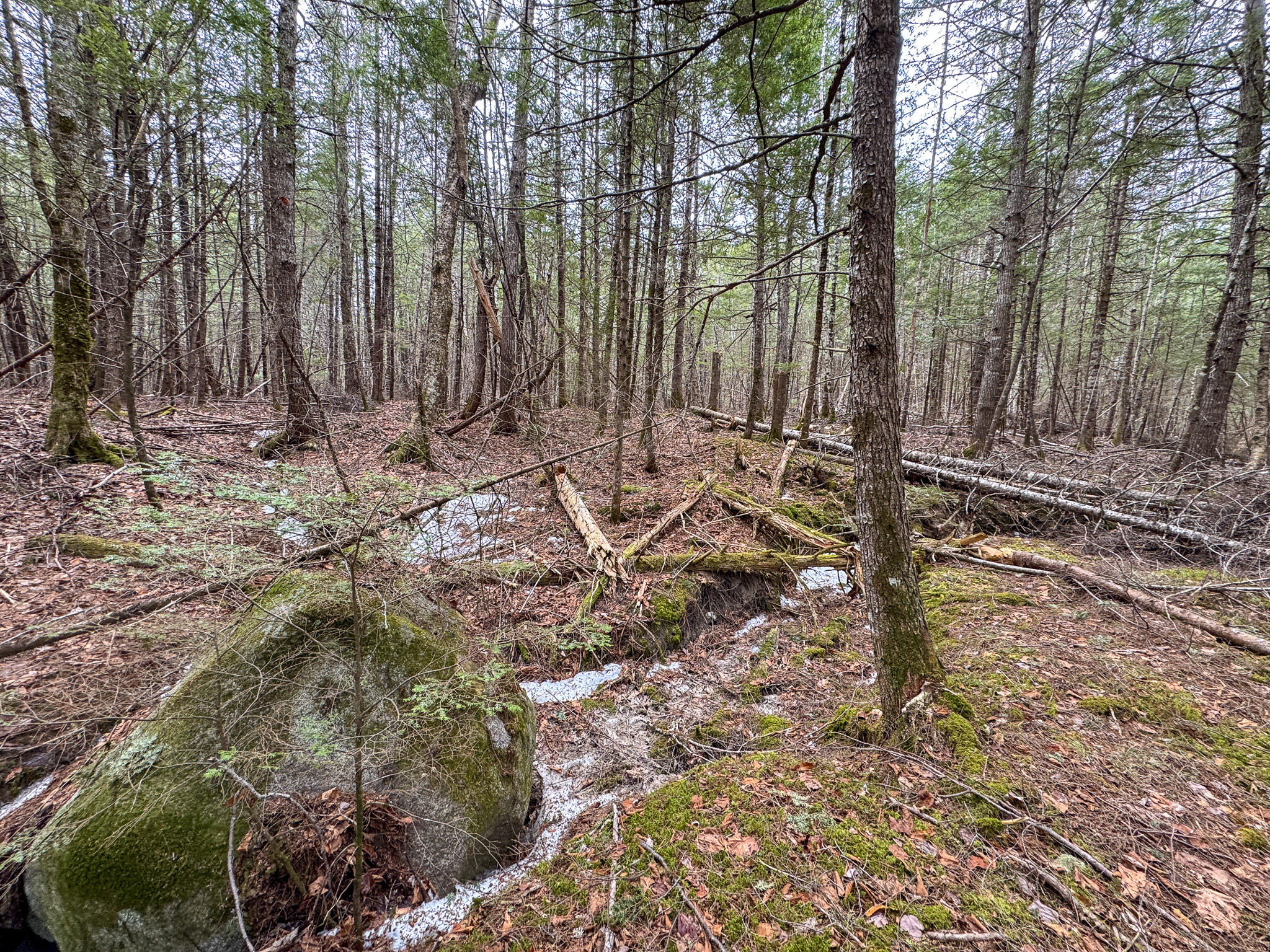 M1L58.3 Pickerel Pond Road Greenfield Twp ME 04418