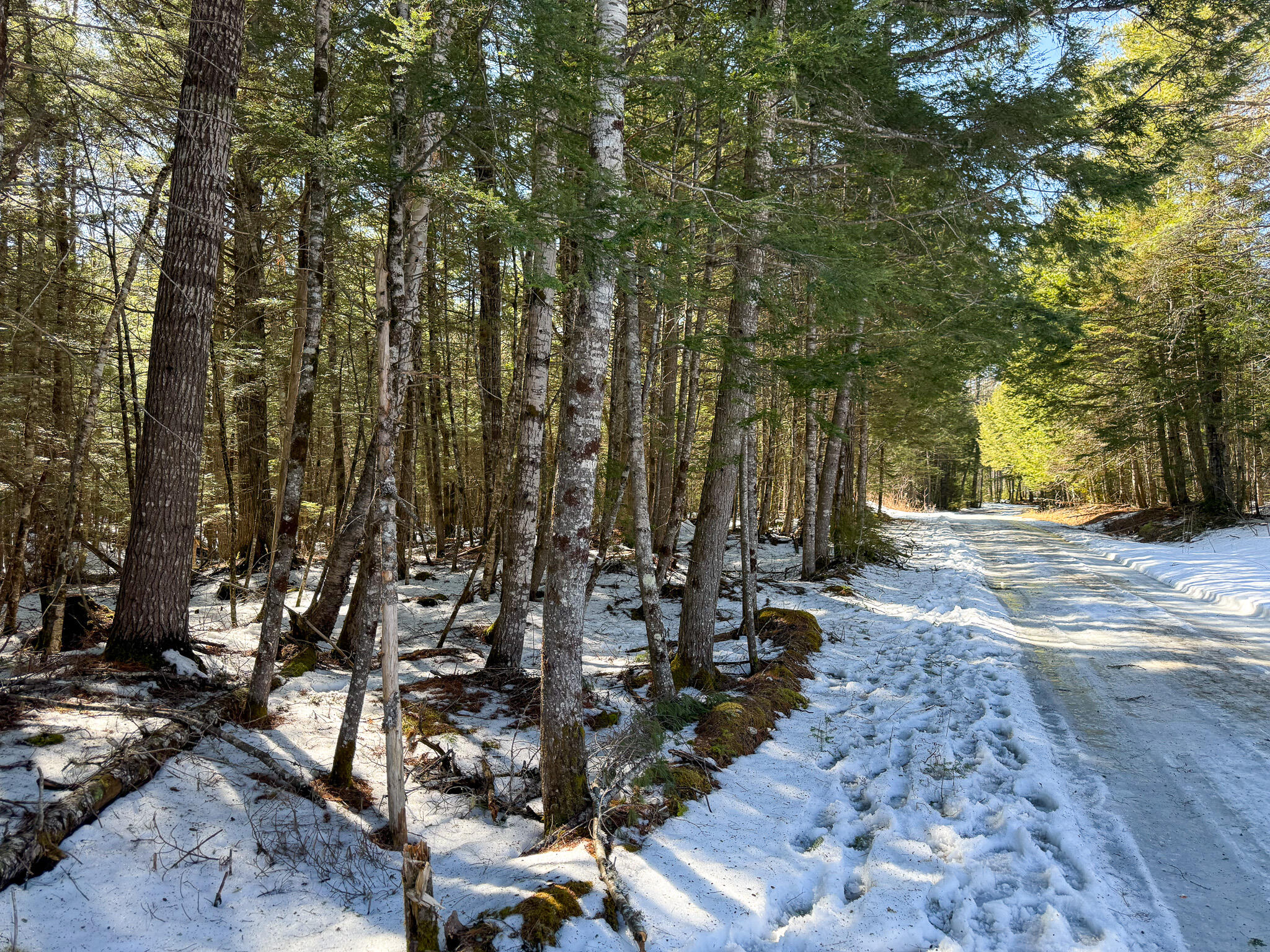 M1L58.3 Pickerel Pond Road Greenfield Twp ME 04418