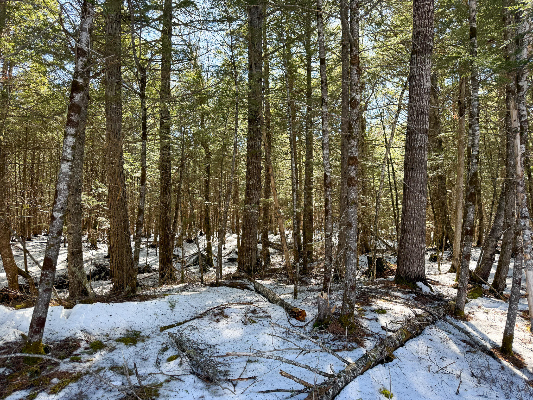 M1L58.3 Pickerel Pond Road Greenfield Twp ME 04418