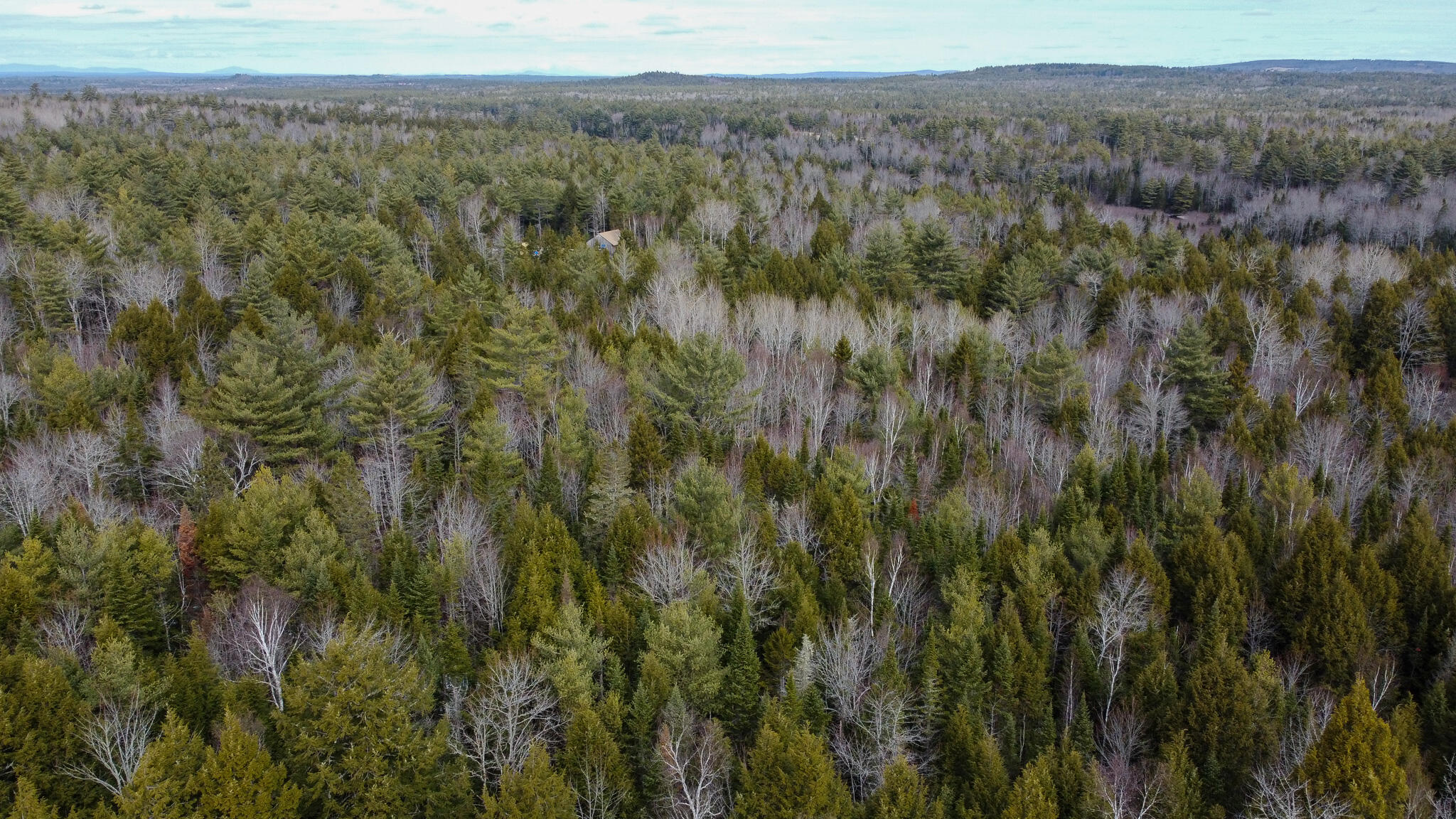 M1L58.3 Pickerel Pond Road Greenfield Twp ME 04418