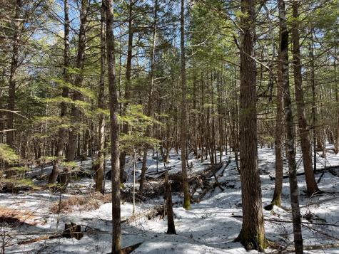 M1L58.3 Pickerel Pond Road Greenfield Twp ME 04418