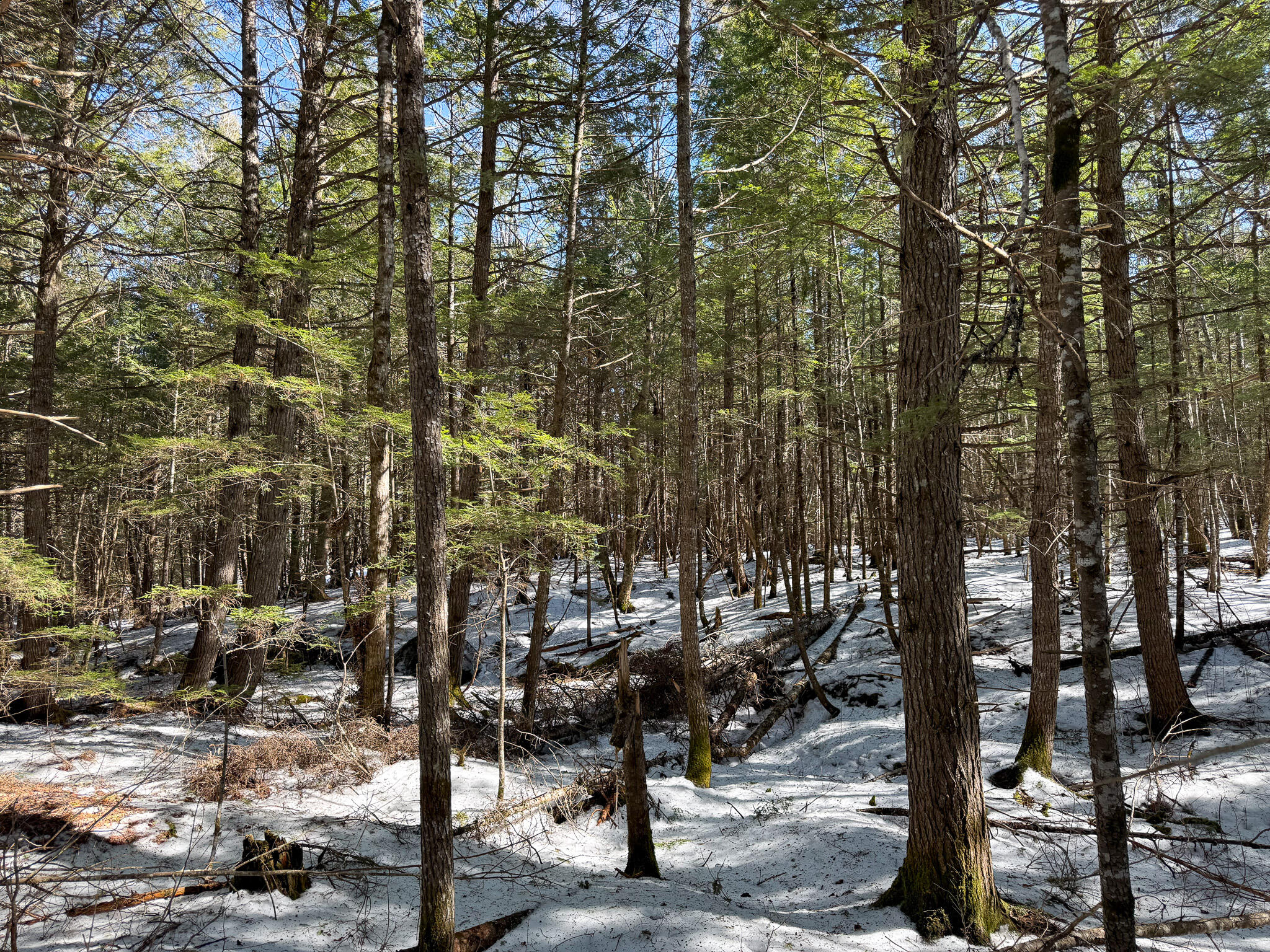 M1L58.3 Pickerel Pond Road Greenfield Twp ME 04418