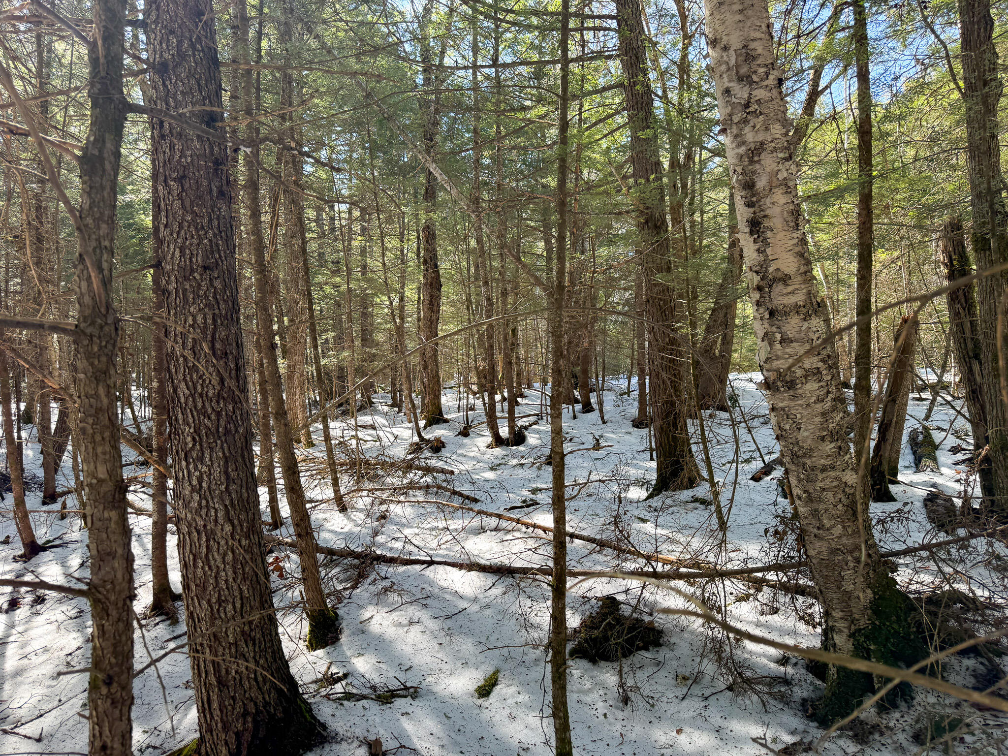 M1L58.3 Pickerel Pond Road Greenfield Twp ME 04418
