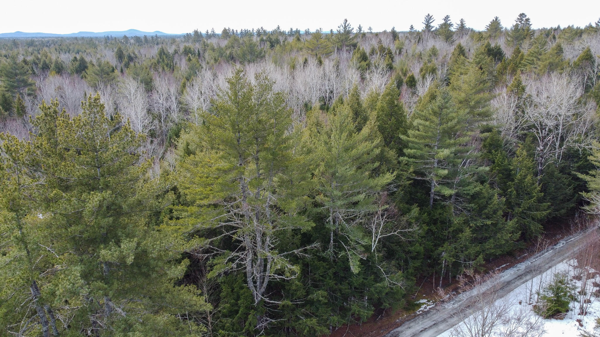 M1L58.3 Pickerel Pond Road Greenfield Twp ME 04418