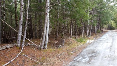 M1L58.3 Pickerel Pond Road Greenfield Twp ME 04418