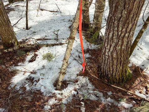 M1L58.3 Pickerel Pond Road Greenfield Twp ME 04418