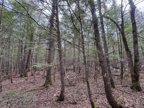 M1L58.3 Pickerel Pond Road Greenfield Twp ME 04418