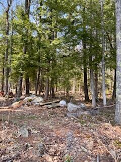 Lot #1 Wells Road S Bridgton ME 04009