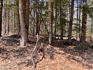 Lot #1 Wells Road S Bridgton ME 04009
