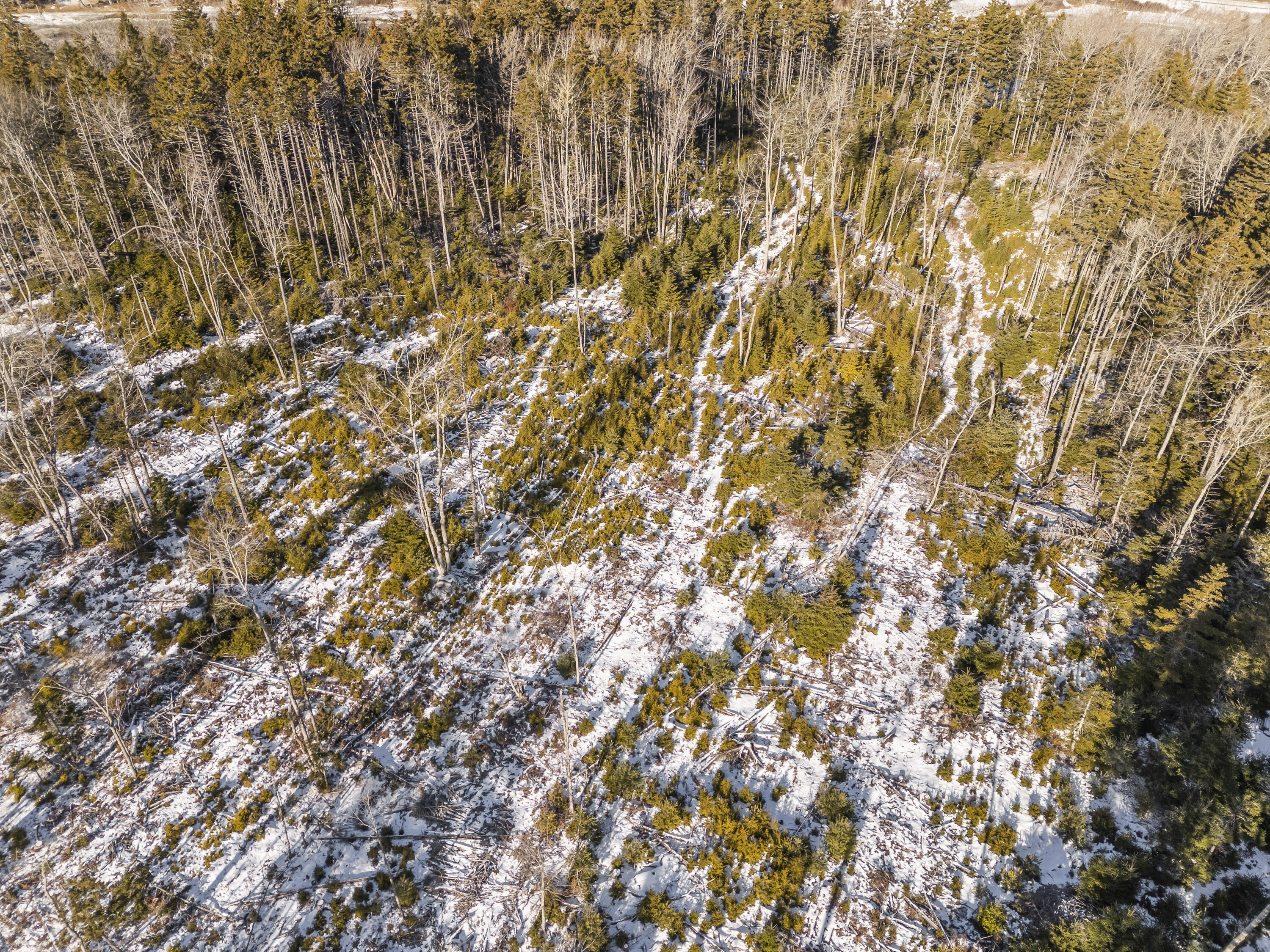 Lot 54b Harrington Cove Road Saint George ME 04859