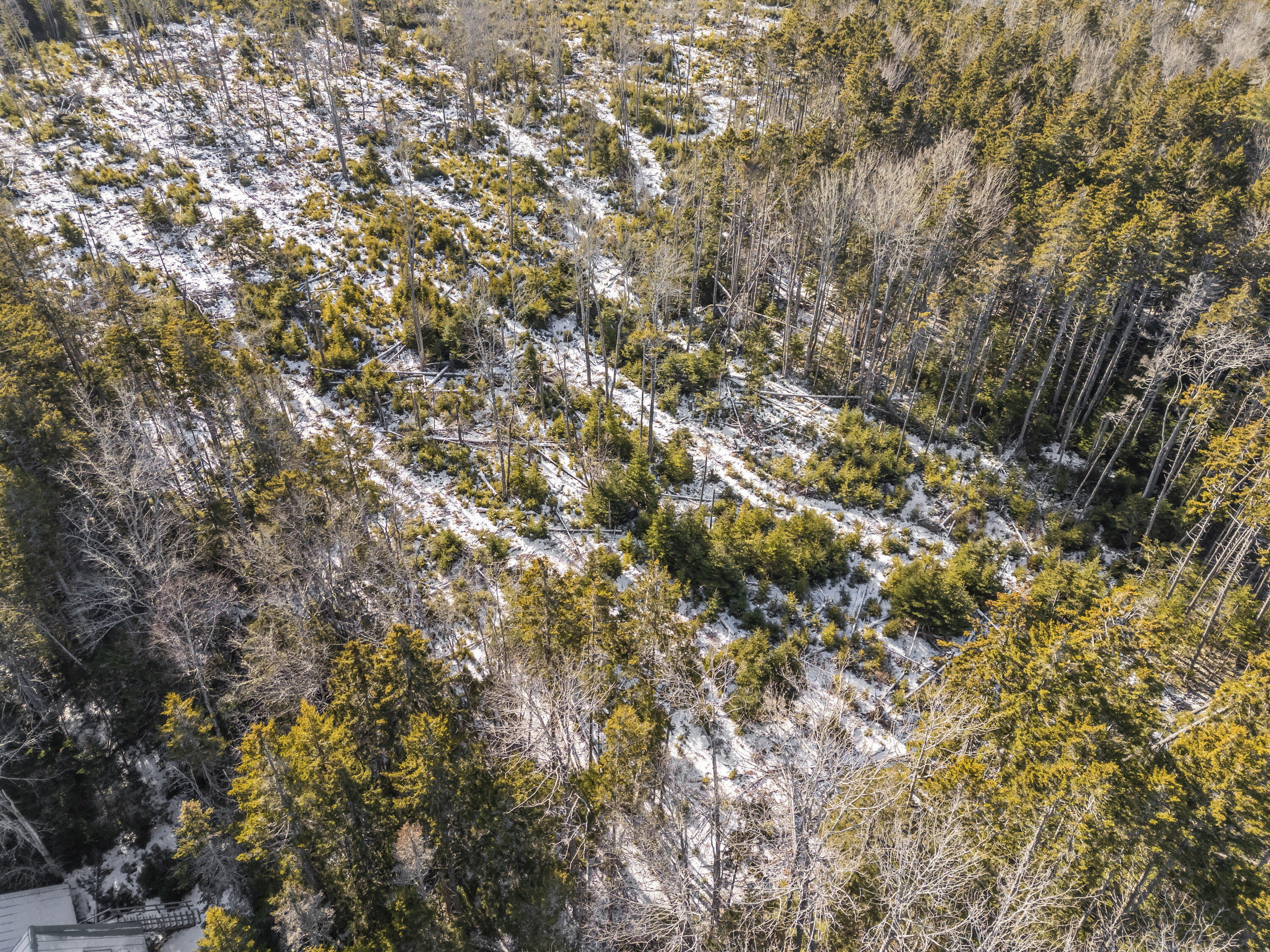 Lot 54b Harrington Cove Road Saint George ME 04859