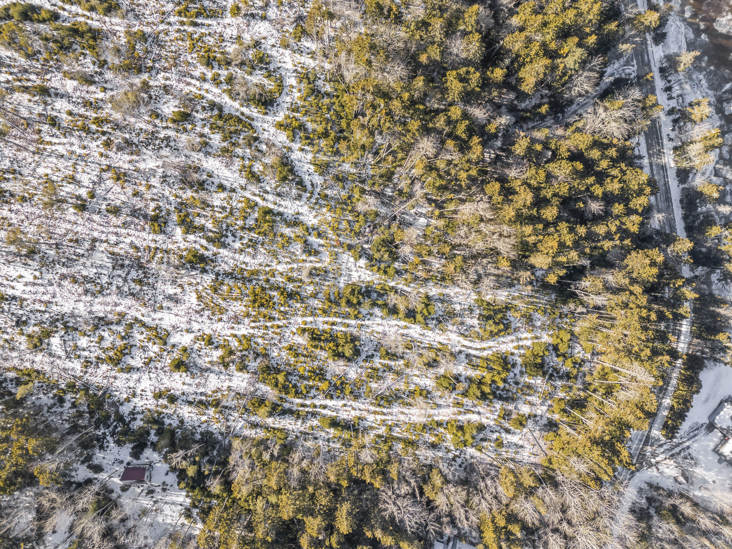 Lot 54b Harrington Cove Road Saint George ME 04859