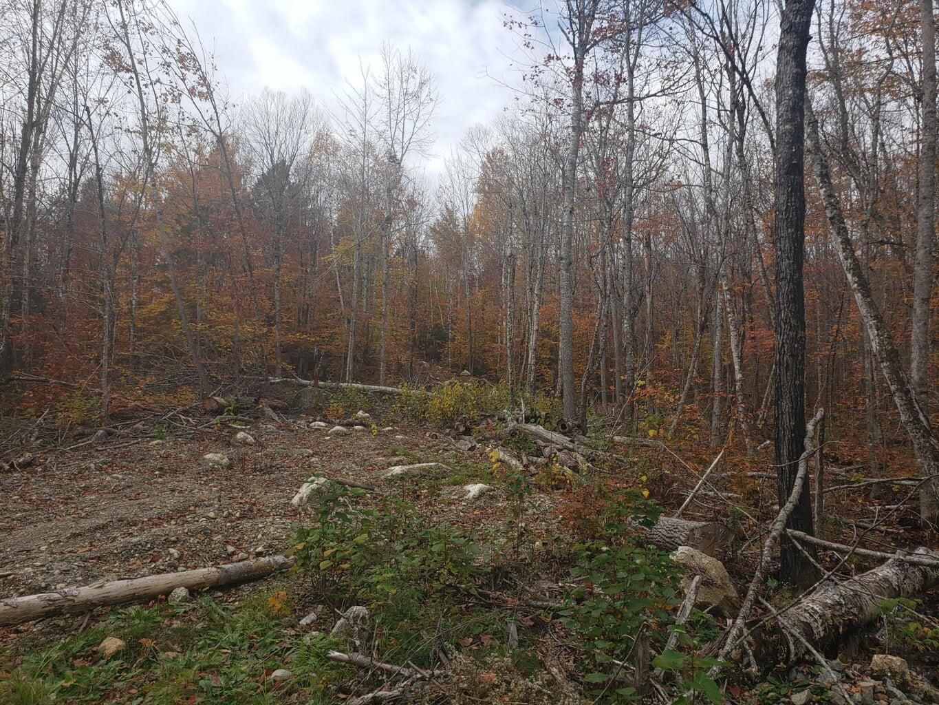 Lot 6 Keefe Way Ellsworth ME 04605