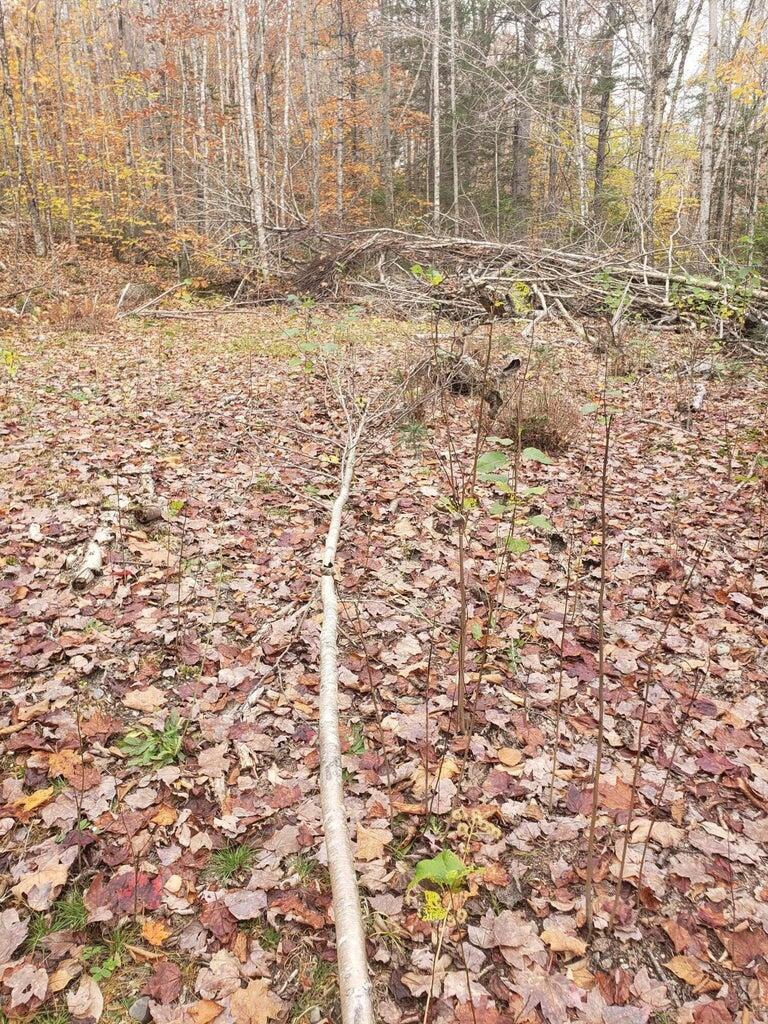 Lot 6 Keefe Way Ellsworth ME 04605