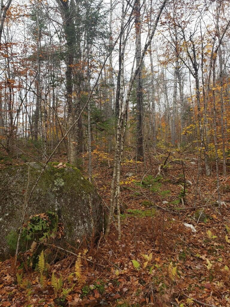 Lot 6 Keefe Way Ellsworth ME 04605