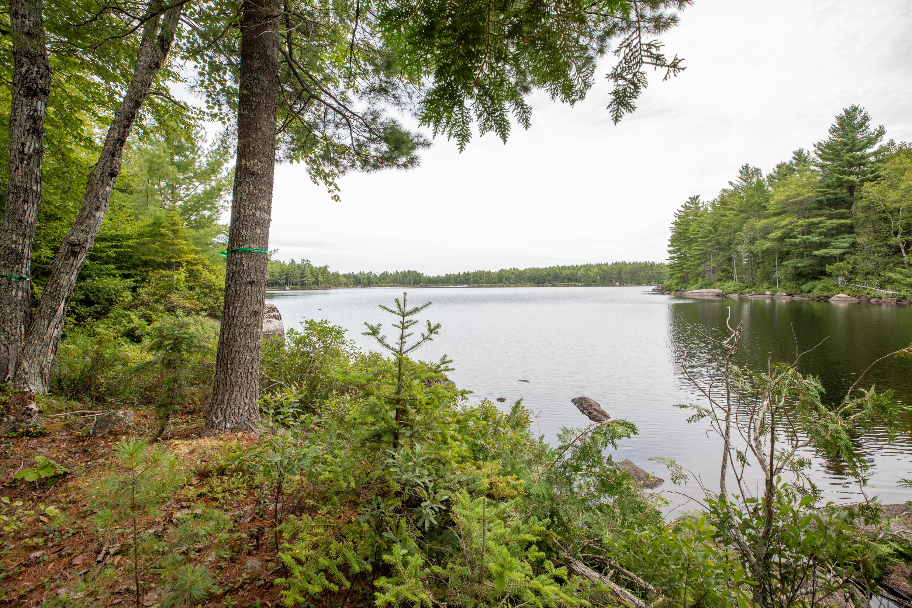 Lot 6 Keefe Way Ellsworth ME 04605