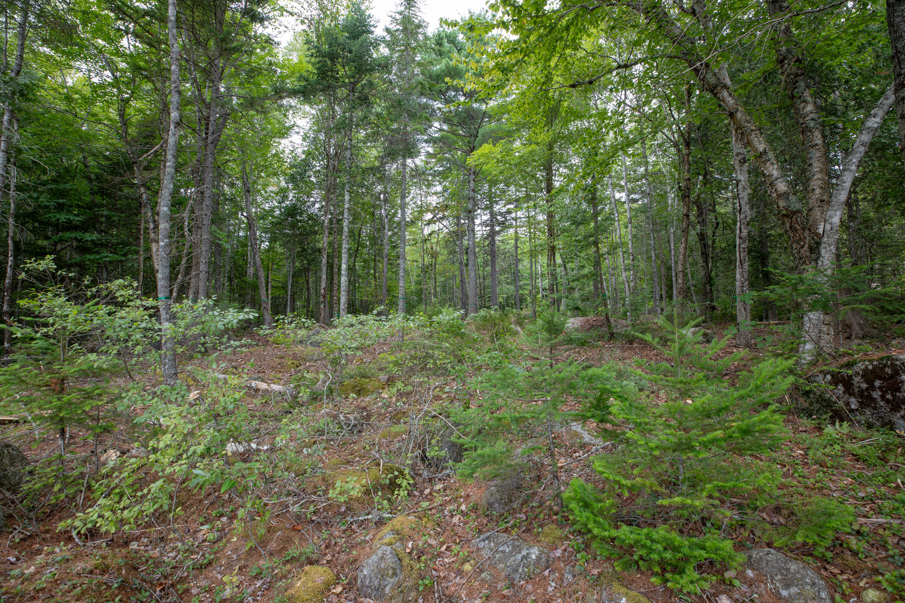 Lot 6 Keefe Way Ellsworth ME 04605