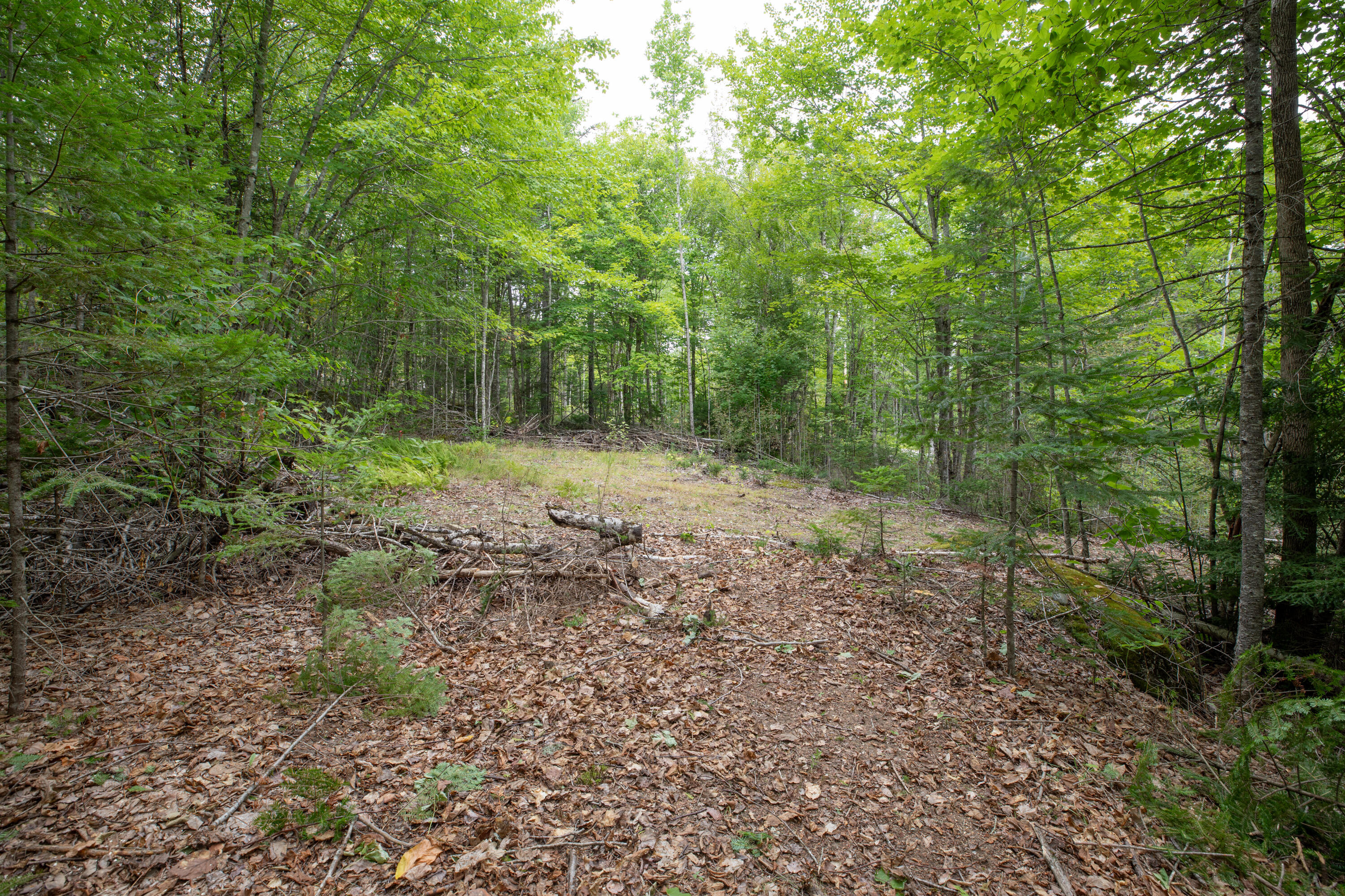 Lot 6 Keefe Way Ellsworth ME 04605