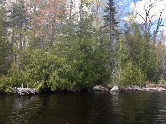 Lot 6 Keefe Way Ellsworth ME 04605