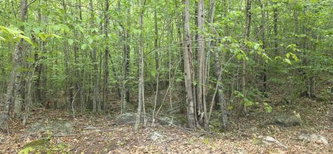 52 High Ridge Road Norway ME 04268