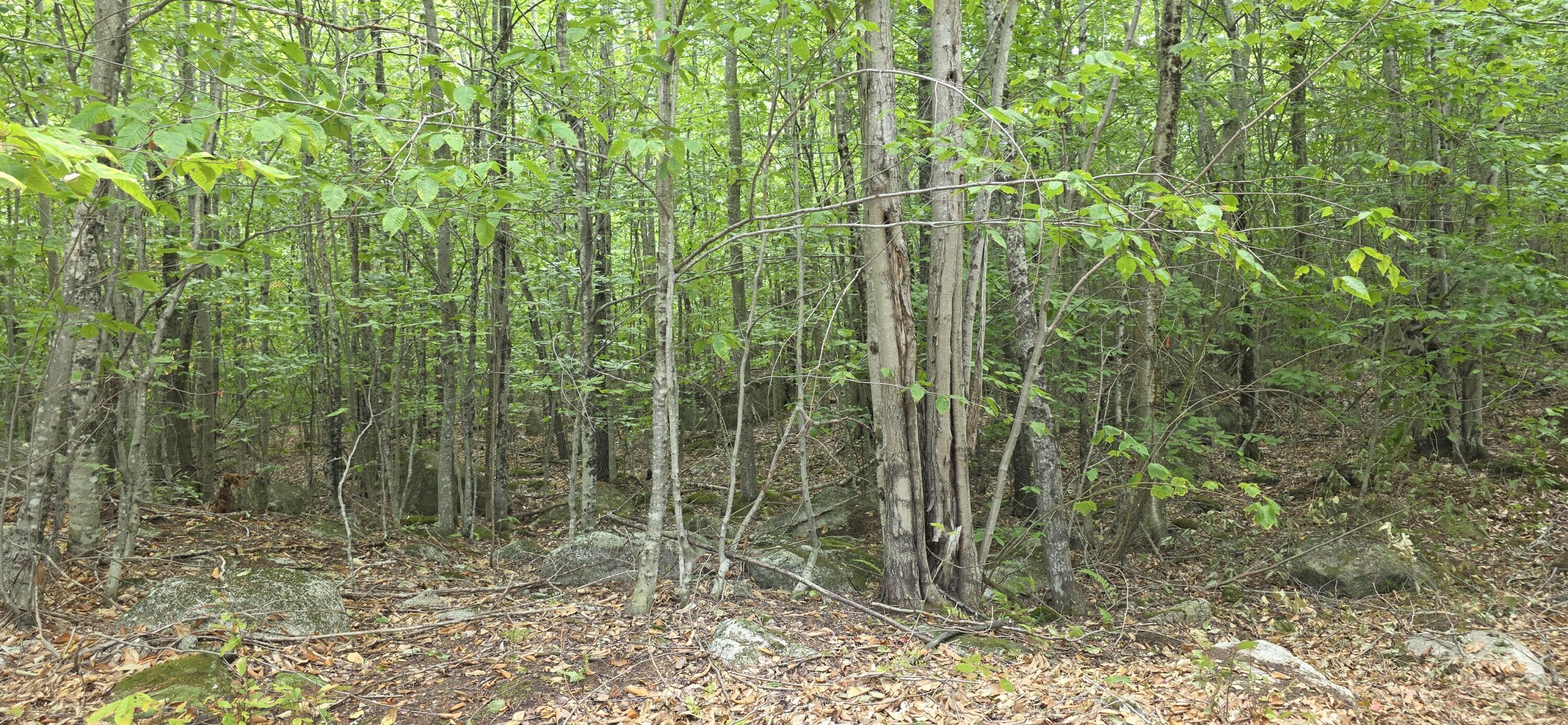52 High Ridge Road Norway ME 04268