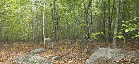 52 High Ridge Road Norway ME 04268