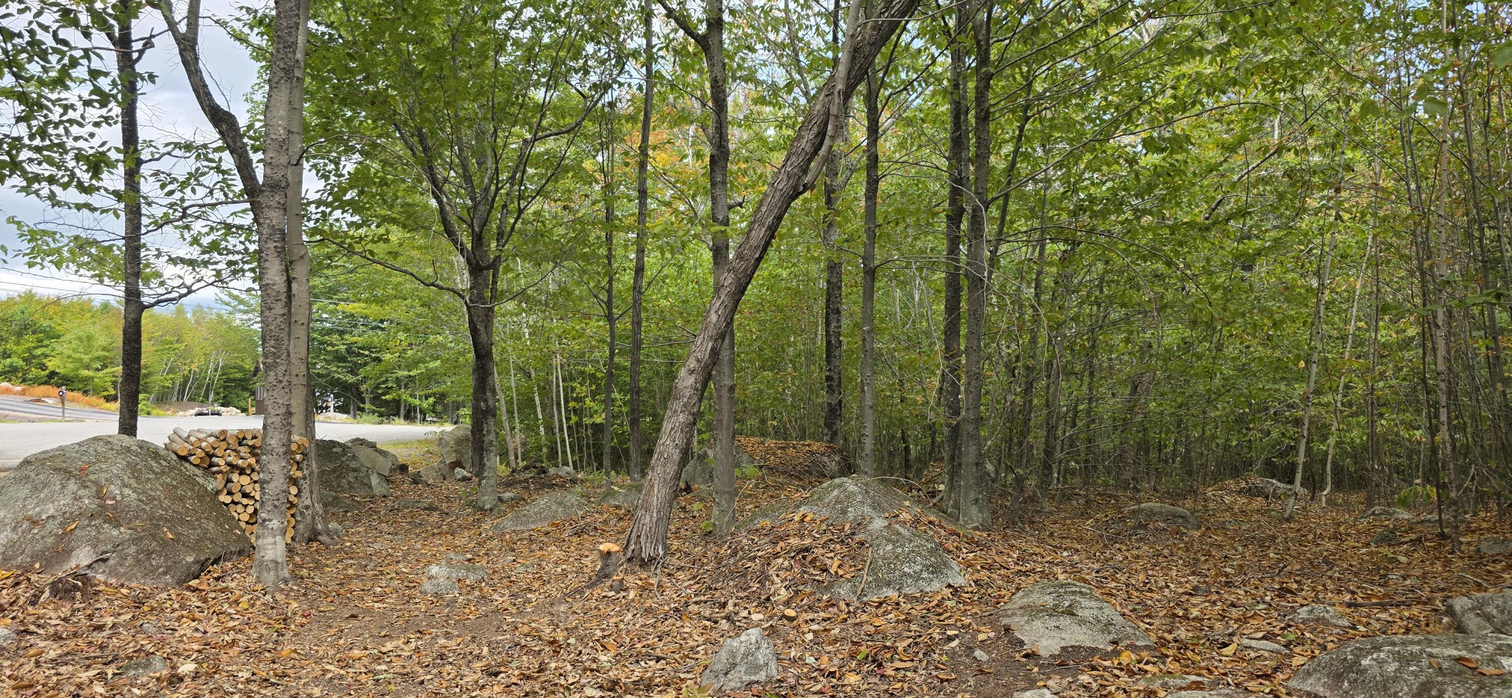 52 High Ridge Road Norway ME 04268