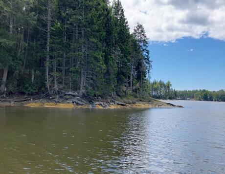 253 Hathorne Point Road Cushing ME 04563