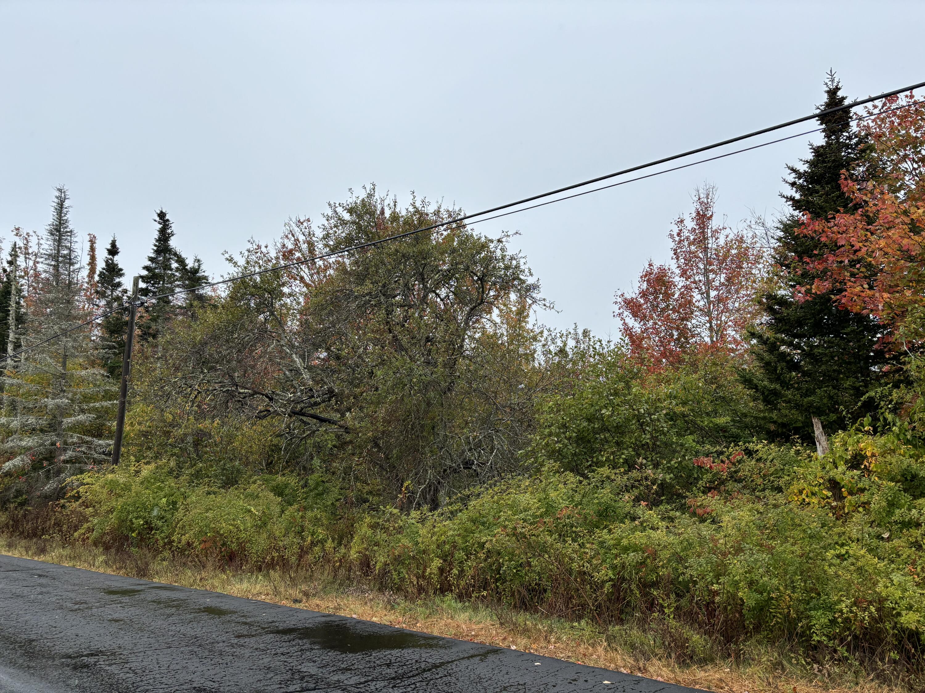 253 Hathorne Point Road Cushing ME 04563