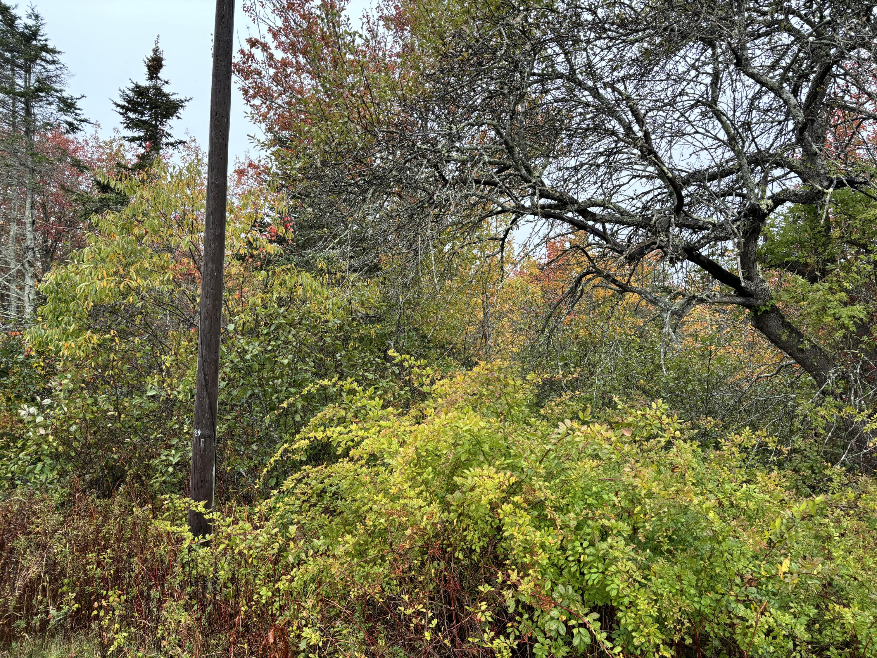 253 Hathorne Point Road Cushing ME 04563