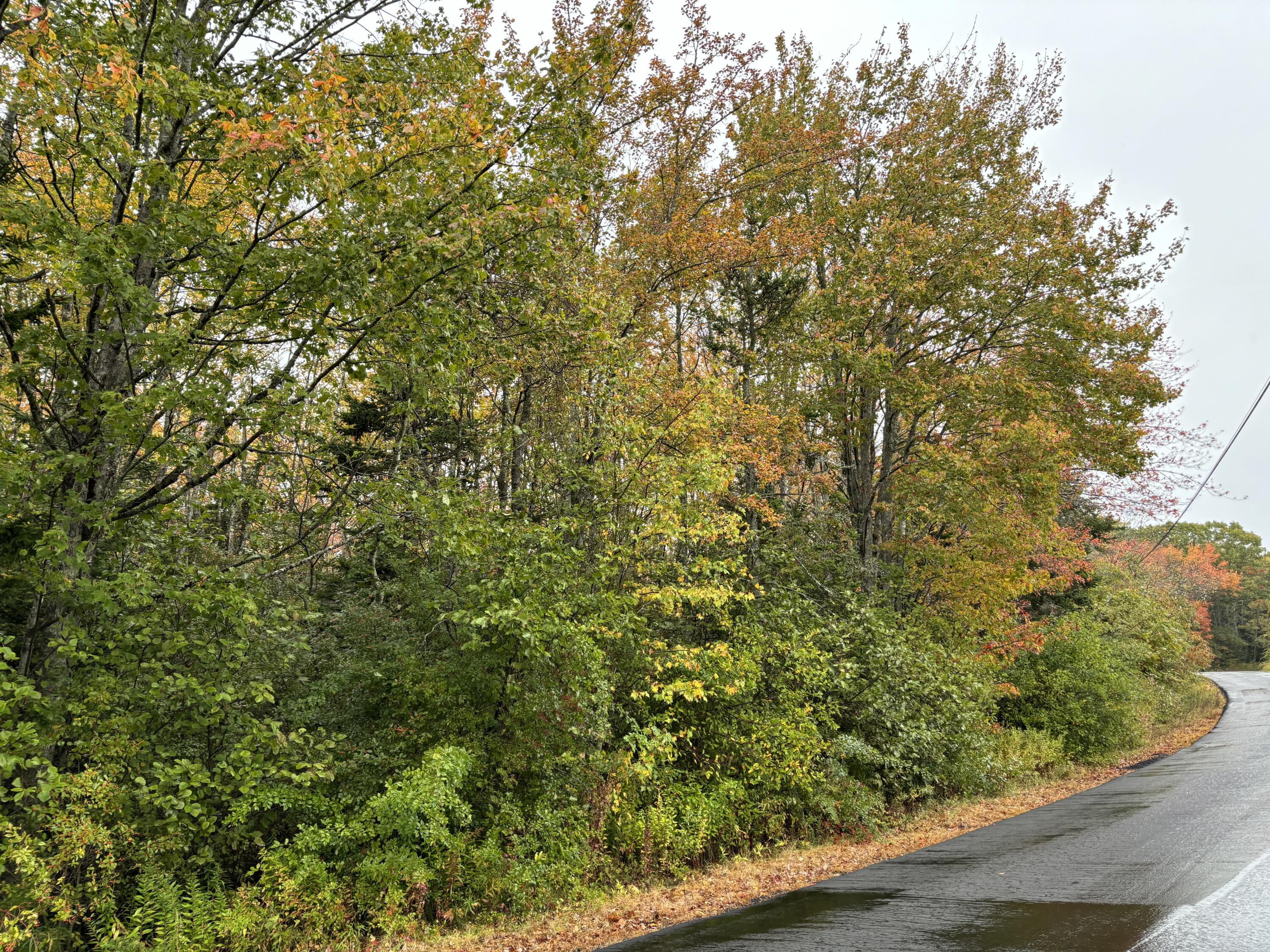 253 Hathorne Point Road Cushing ME 04563