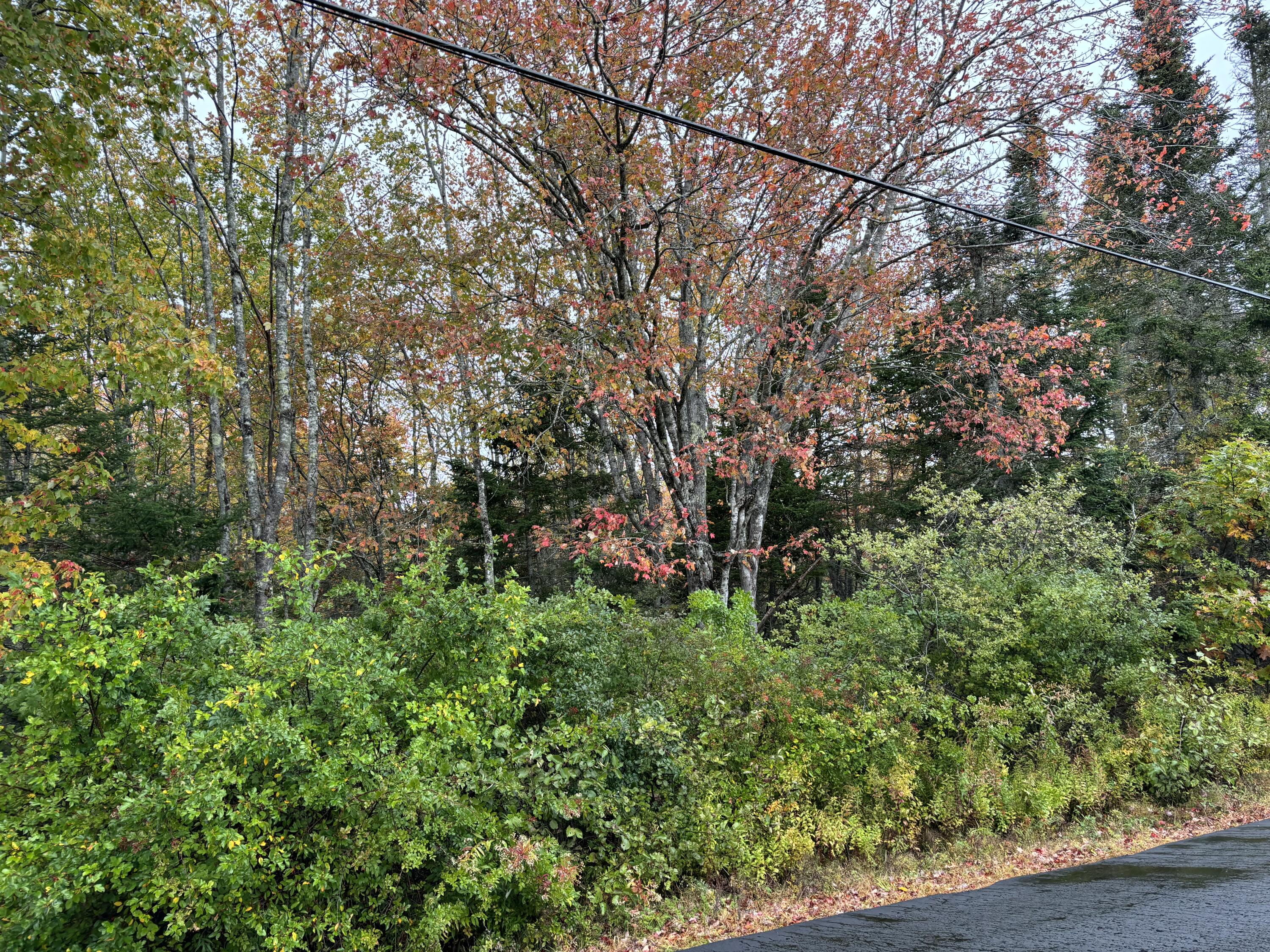 253 Hathorne Point Road Cushing ME 04563