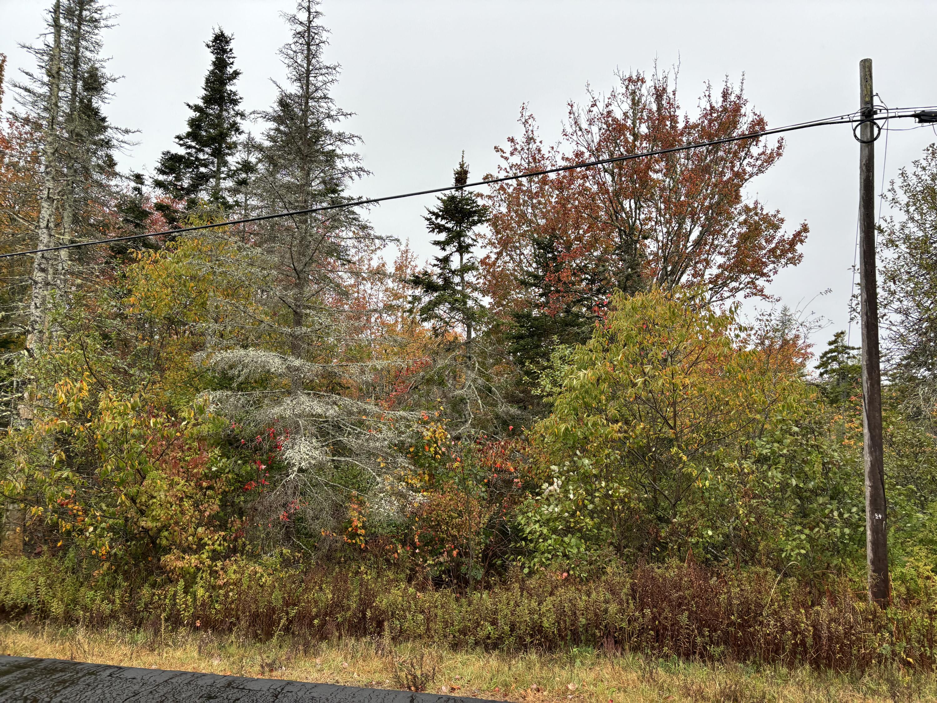 253 Hathorne Point Road Cushing ME 04563