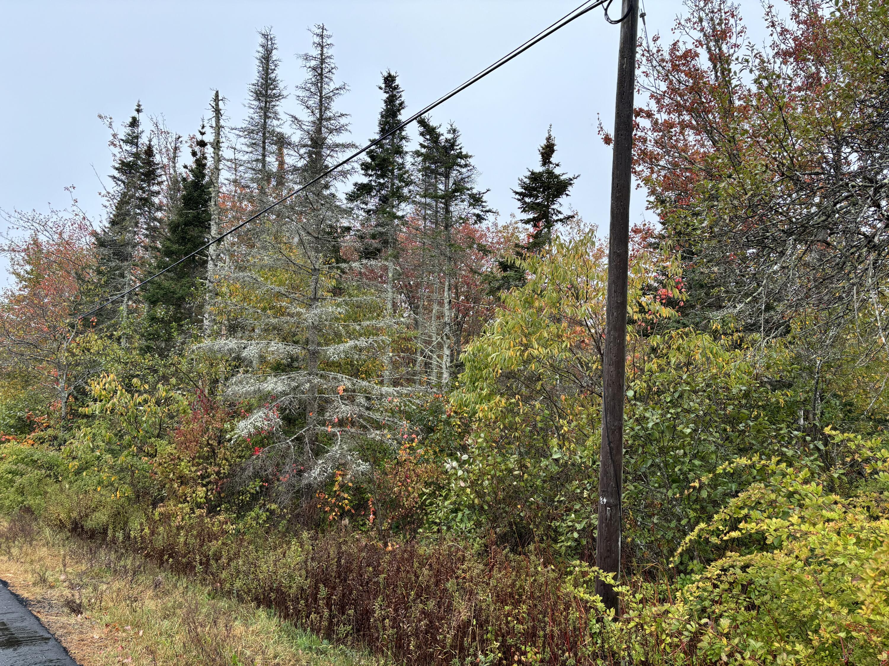 253 Hathorne Point Road Cushing ME 04563