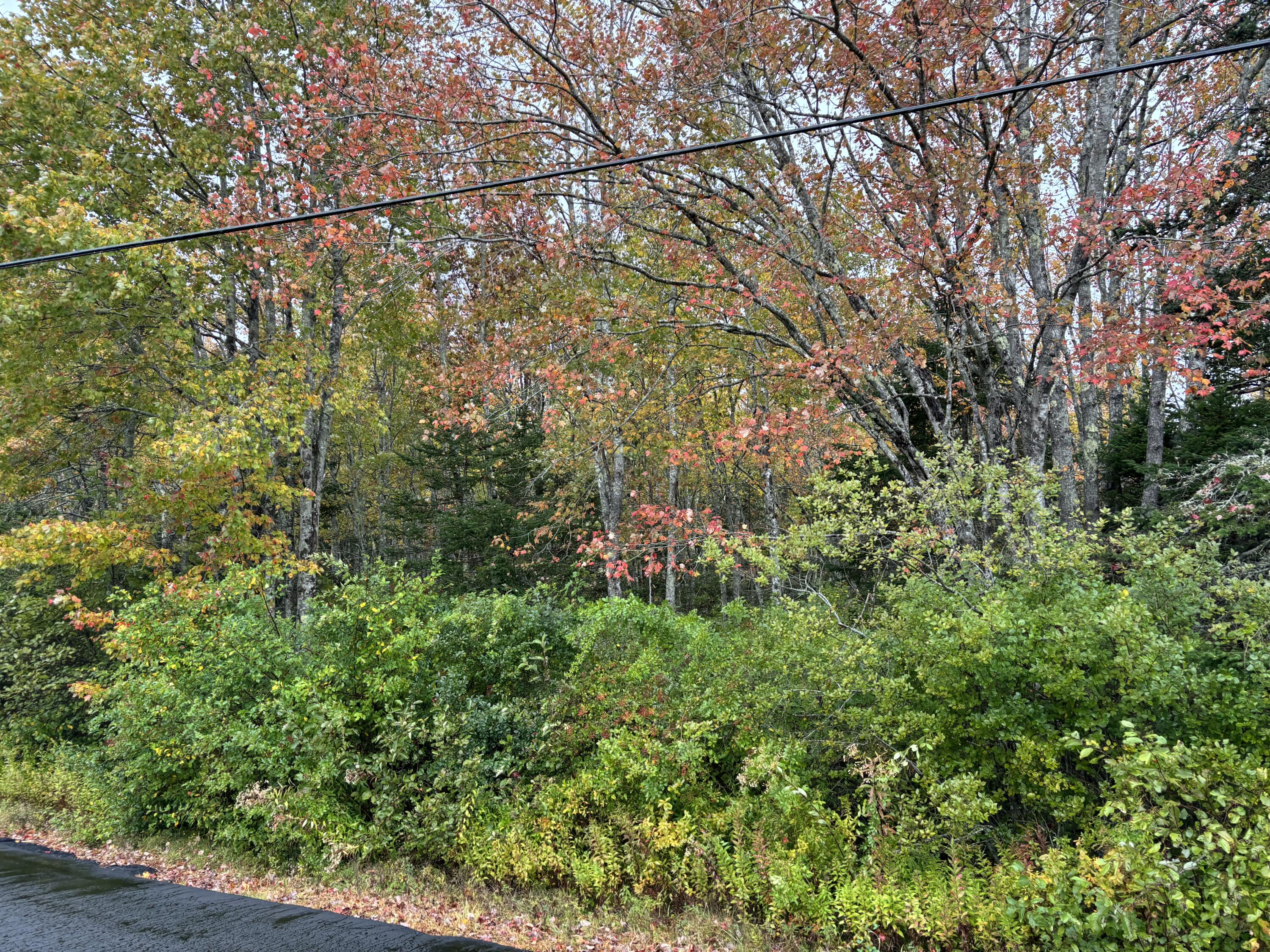 253 Hathorne Point Road Cushing ME 04563