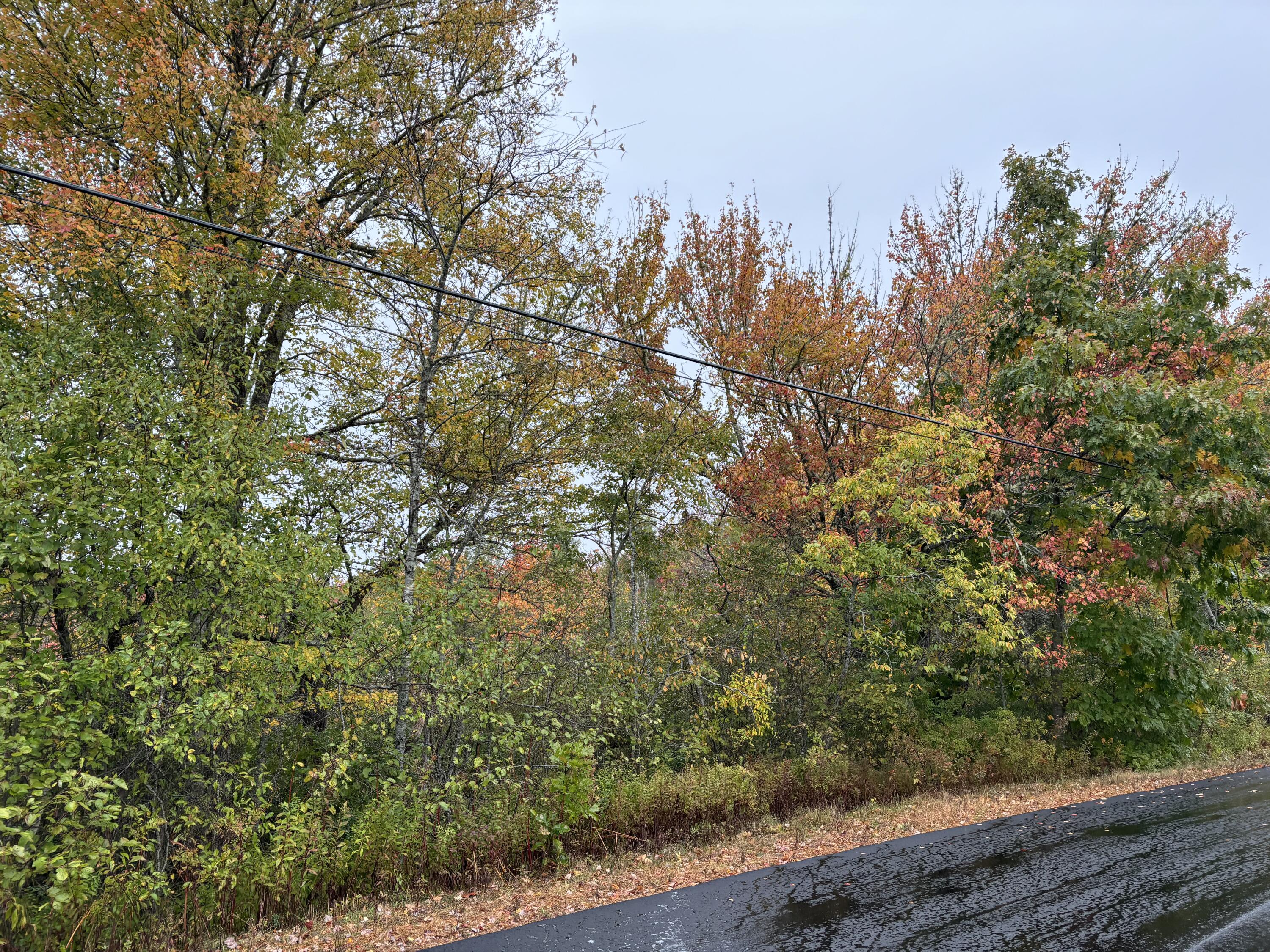 253 Hathorne Point Road Cushing ME 04563