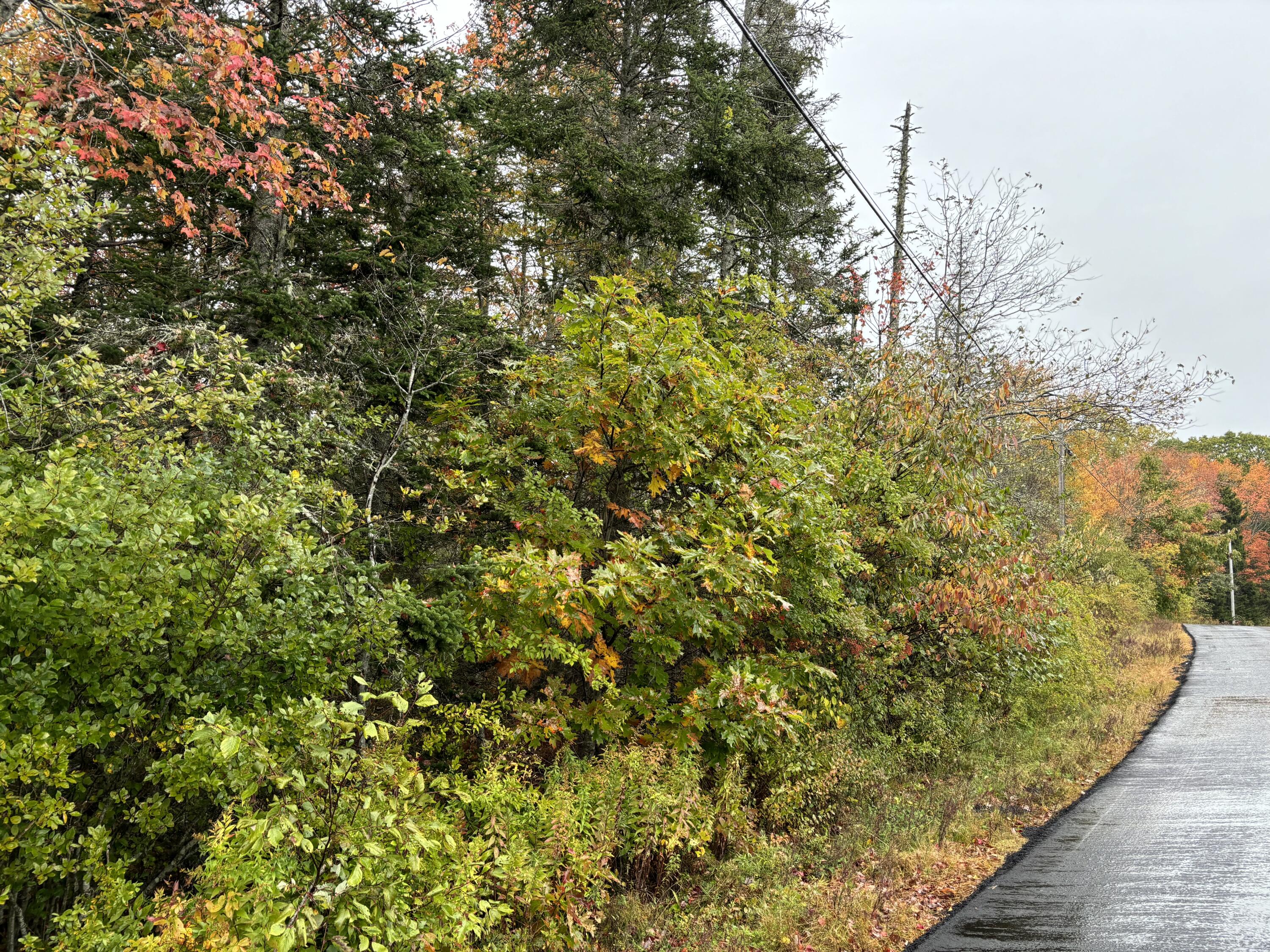 253 Hathorne Point Road Cushing ME 04563