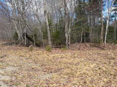 Lot # 146 White Tail Road Waltham ME 04605