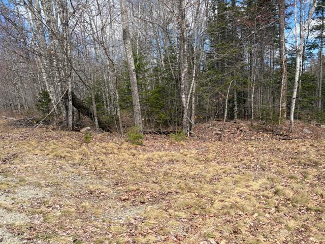 Lot # 146 White Tail Road Waltham ME 04605